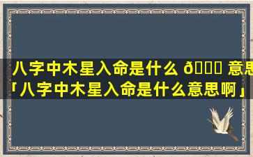 八字中木星入命是什么 🐒 意思「八字中木星入命是什么意思啊」
